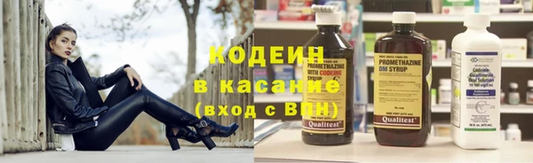 соль ск Няндома