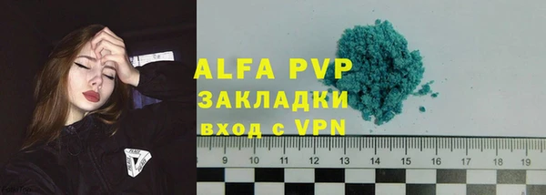 стафф Аркадак